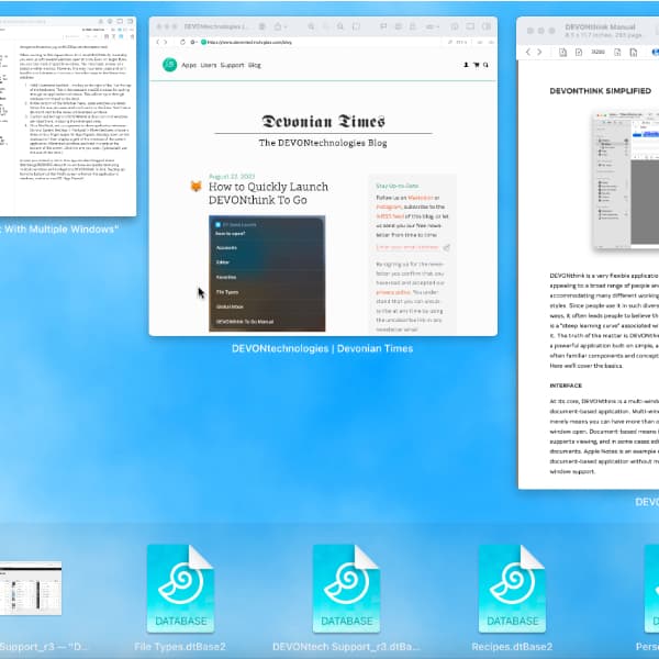 Screenshot showing App Exposé for currently open DEVONthink windows.
