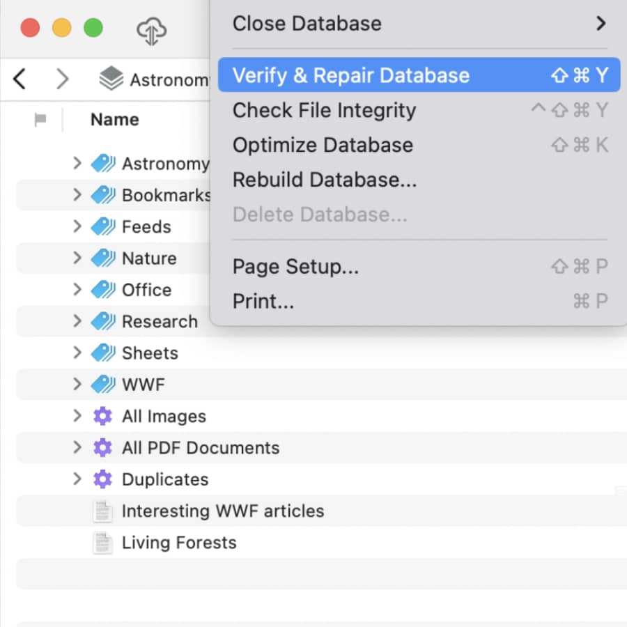 Screenshot showing DEVONthink's file menu, displaying DEVONthink's maintenance commands.