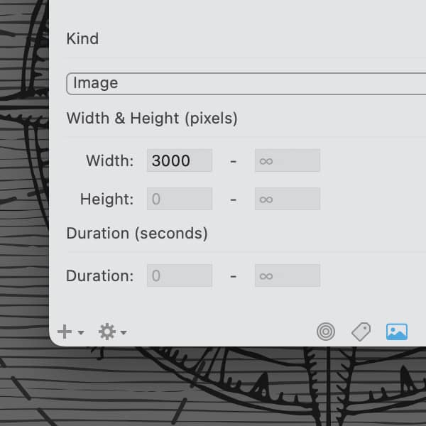 Screenshot showing DEVONthink's new multimedia filter panel.